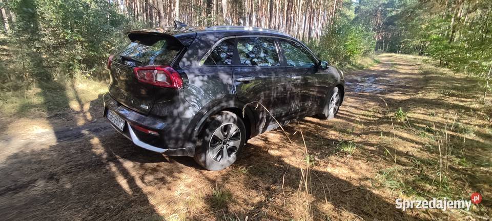 Kia Niro 1600cm3 Niro Bełchatów