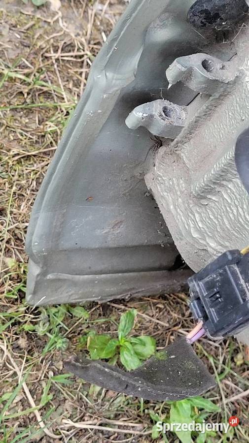 Drzwi Renault Thalia mazowieckie