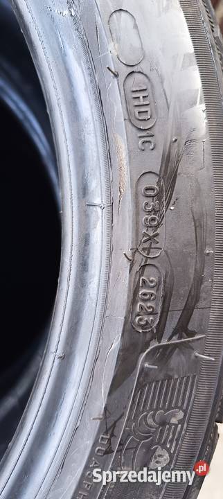 Opony zimowe Michelin pilot alpin 5 24540 R19 Mała Słońca