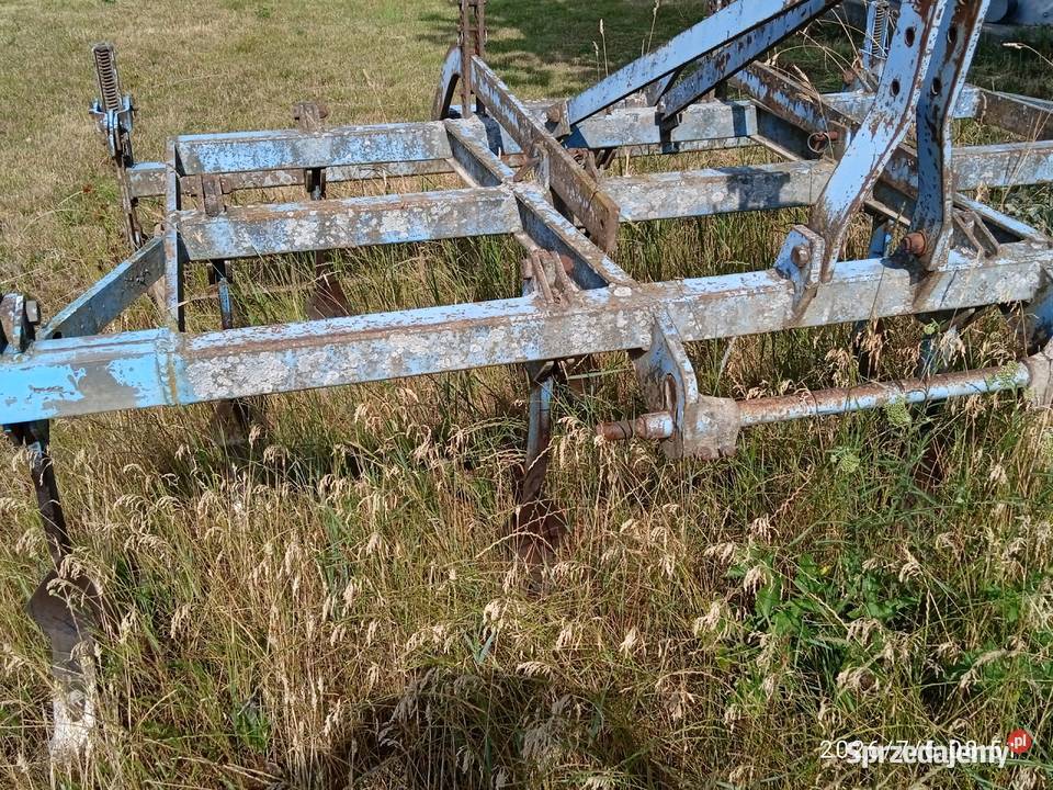 Ścierniskowkec lubelskie Latyczyn sprzedam