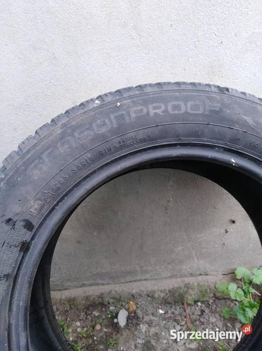 Opony 2055516 all seasons Nokian wielkopolskie Pakosław