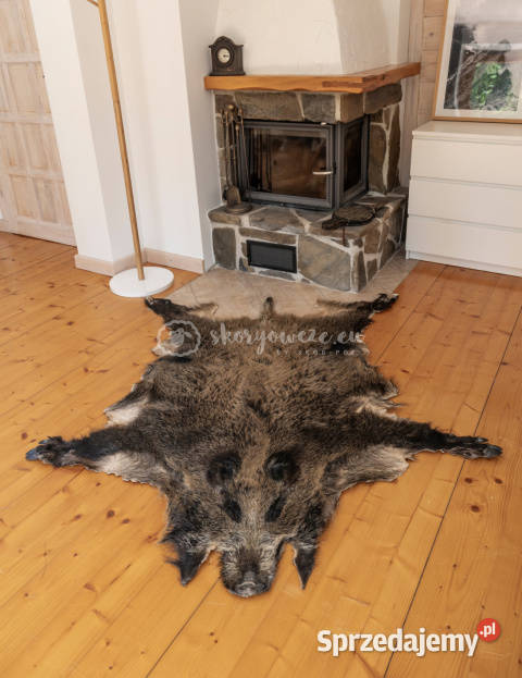 Dzik dekoracyjny skóra z dzika na podłogę skóra Szaflary