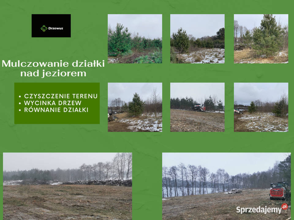 Mulczowanie nieużytków wycinka drzew i krzewów Karczowanie i usuwanie drzew pomorskie Gdańsk