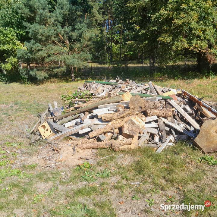 Drzewo opałowe sosna i swierk Józefów