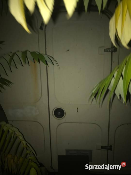 Przyczepa kamping N126 Bydgoszcz