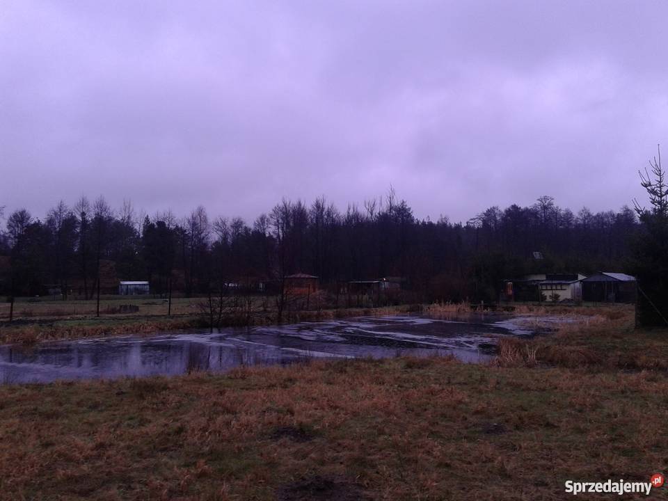 Dom ze stawami Domy pomorskie Siemirowice