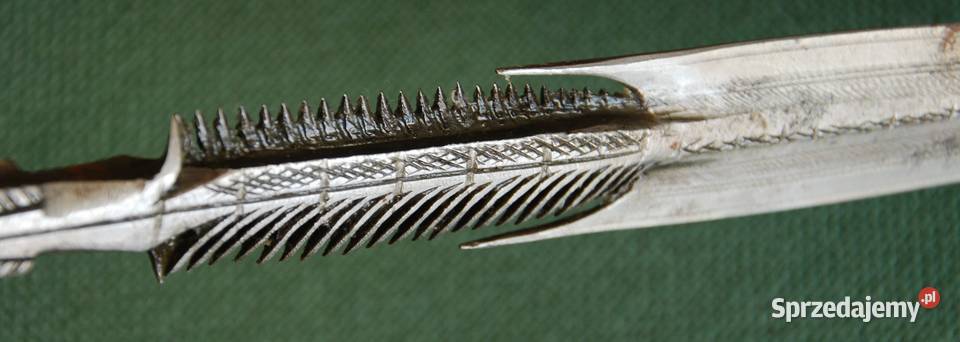 grot włuczni Kolekcje Warszawa