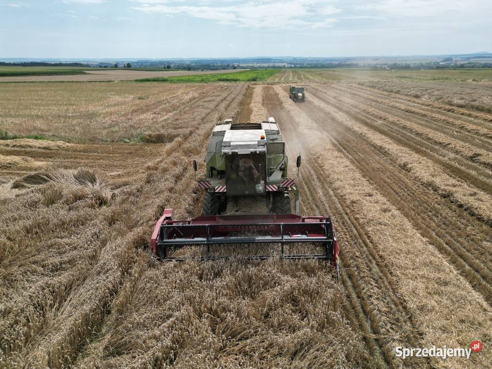 MDW 524 Zbożowe Branice