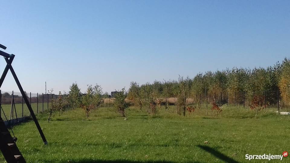 Dom z potencjałem