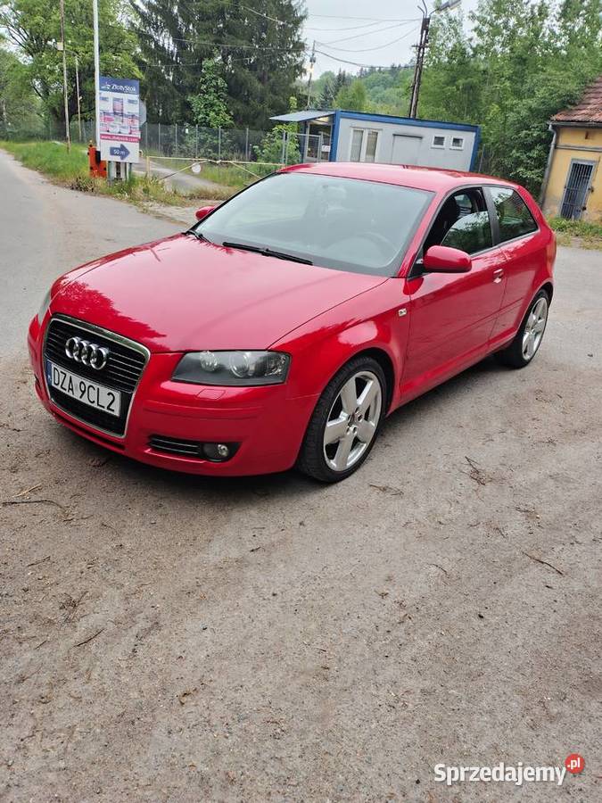 Audi a3 8p 19TDI klimatronik alufelgi xenon nieuszkodzony