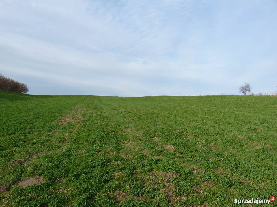 anio Gospodarstwo rolne Paprotki gm Malechowo 140000m2 Paprotki