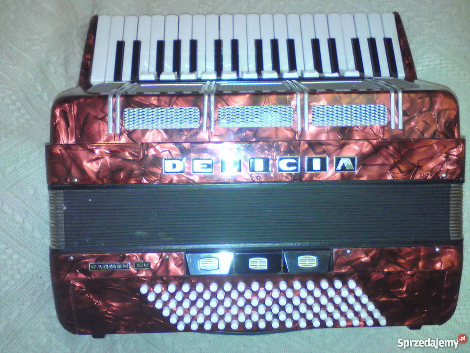 Akordeon Delicia Nieledew
