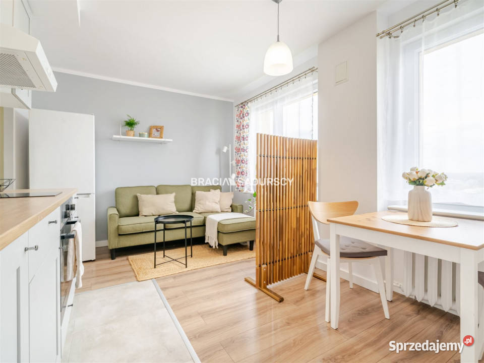 Lokal Kraków 389m2 38.9m2
