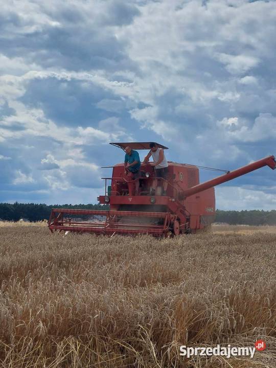 Sprzedam Bizon Zo50 Ligota Prószkowska