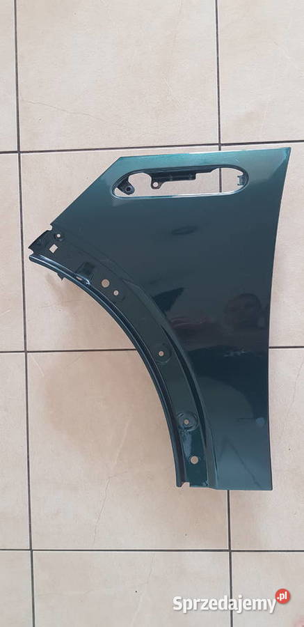 BŁOTNIKI Mini Cooper R50 2003r Rybnik