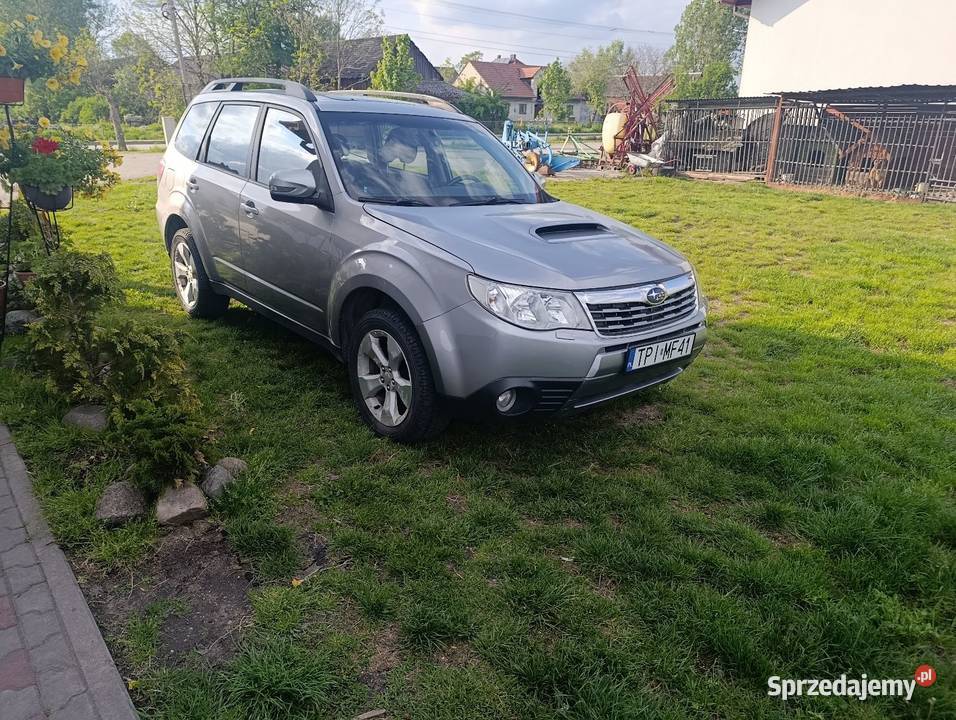 Subaru Forester 220000km Pińczów