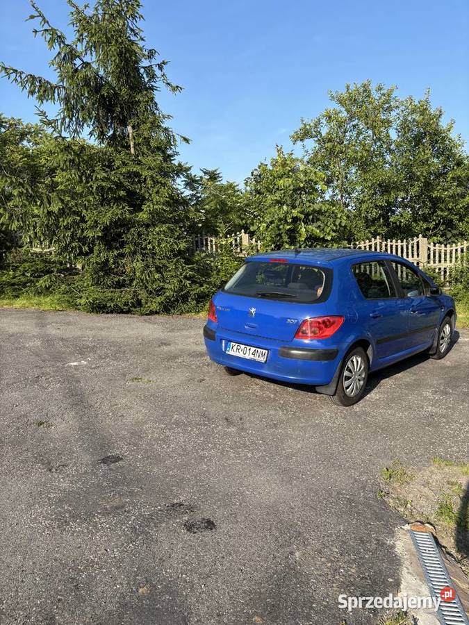 Peugeot 307 XR 14 8V 2002r 1400cm3
