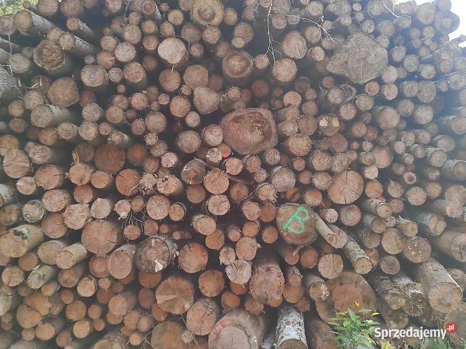 Drewno opałowe Sosna Świerk Dąb Akacja Brzoza Jabłonów