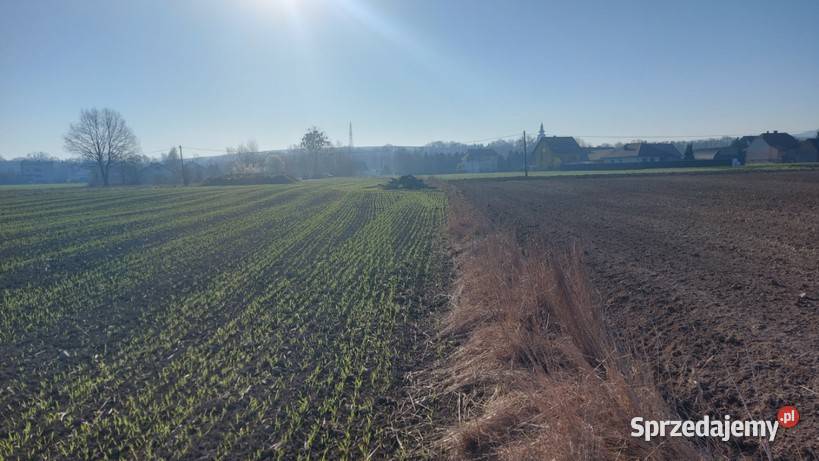Udział w prawie własności do nieruchomości Sprzedaż Wieprz