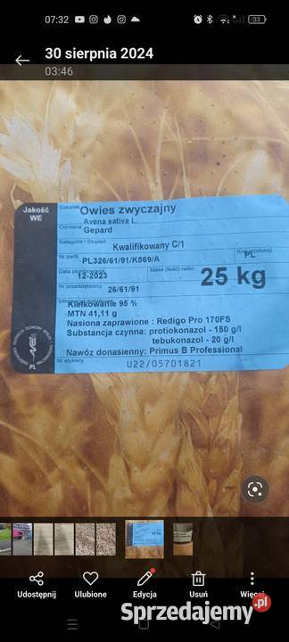 Sprzedam owies Zboża
