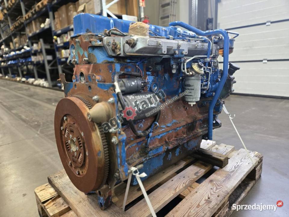 Silnik Ford 8240 Byków