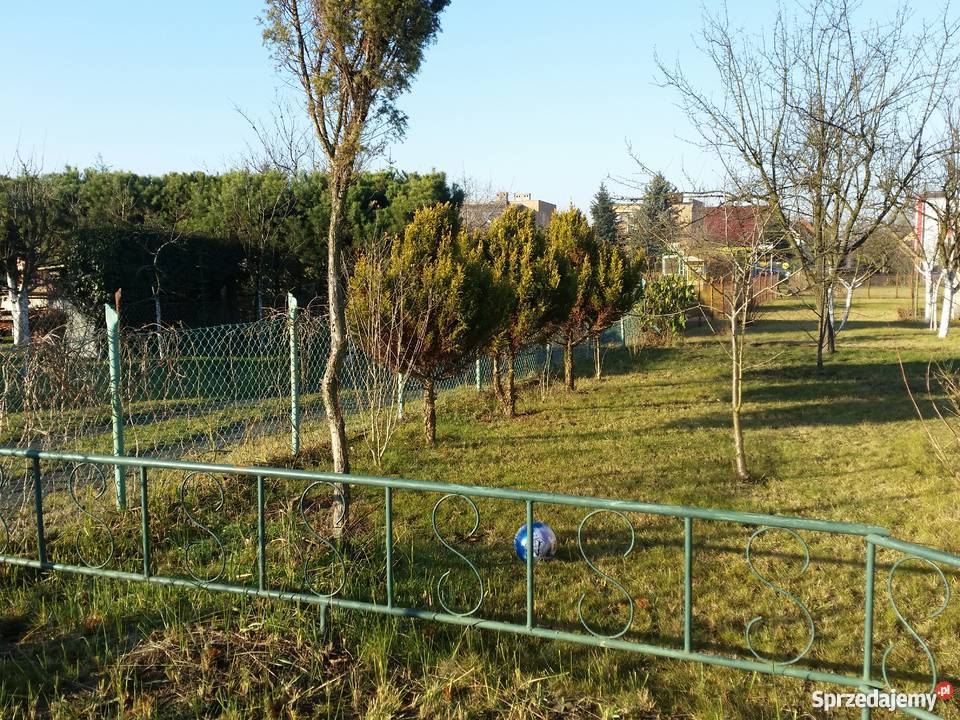 Działka ogrodowa Rod Hutnik w Oławie dolnośląskie