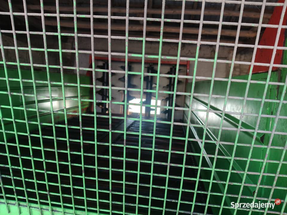 Rozrzutnik Forschitt Nowy wielkopolskie Tręby Stare