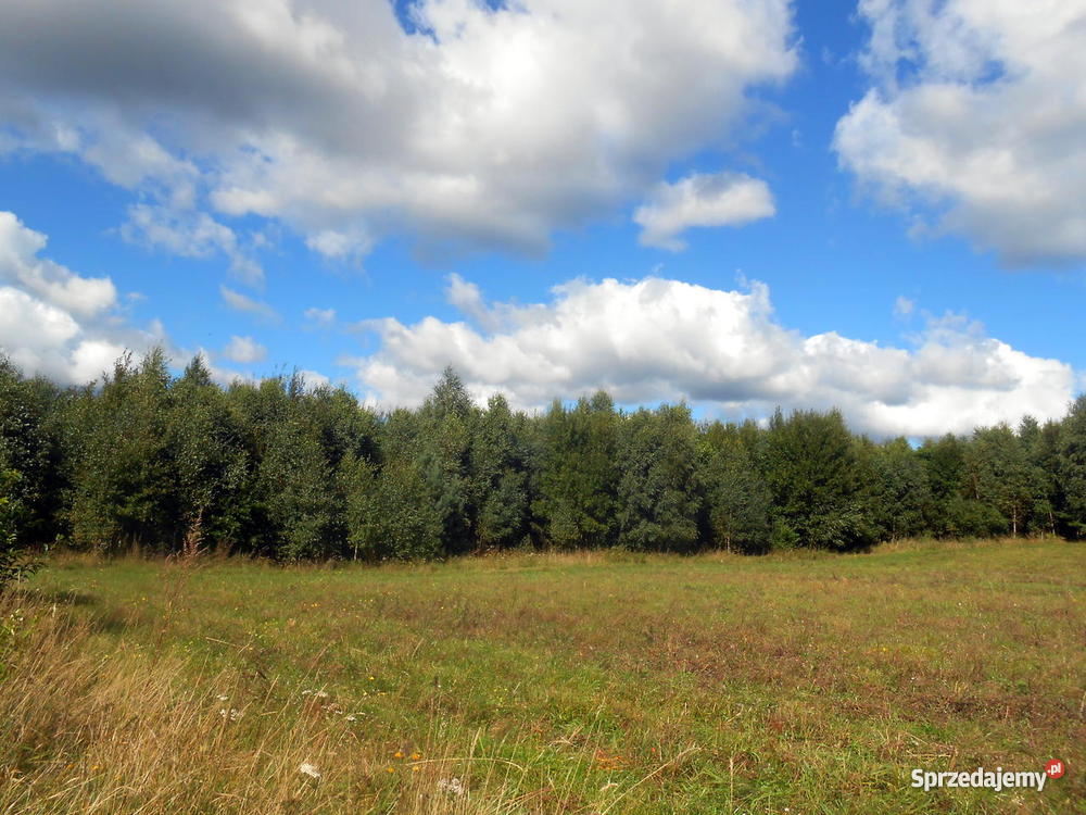 Na 36 hektarów Działki rolnobudowlane las Gm Dęb Dębnica