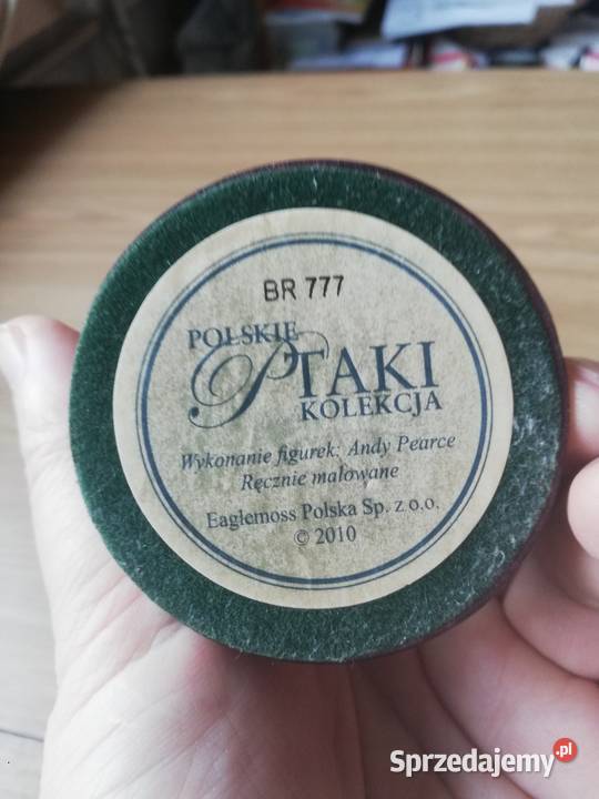 Ptaki Polskie mazowieckie Warszawa