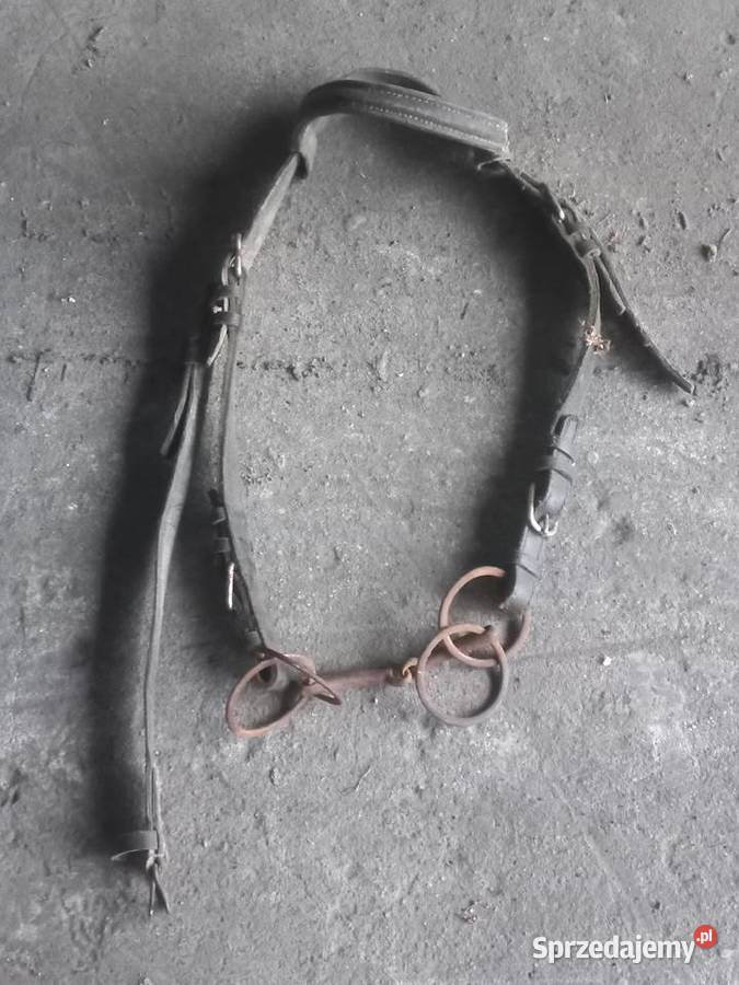 Uprzaz konia mazowieckie Stary Gózd