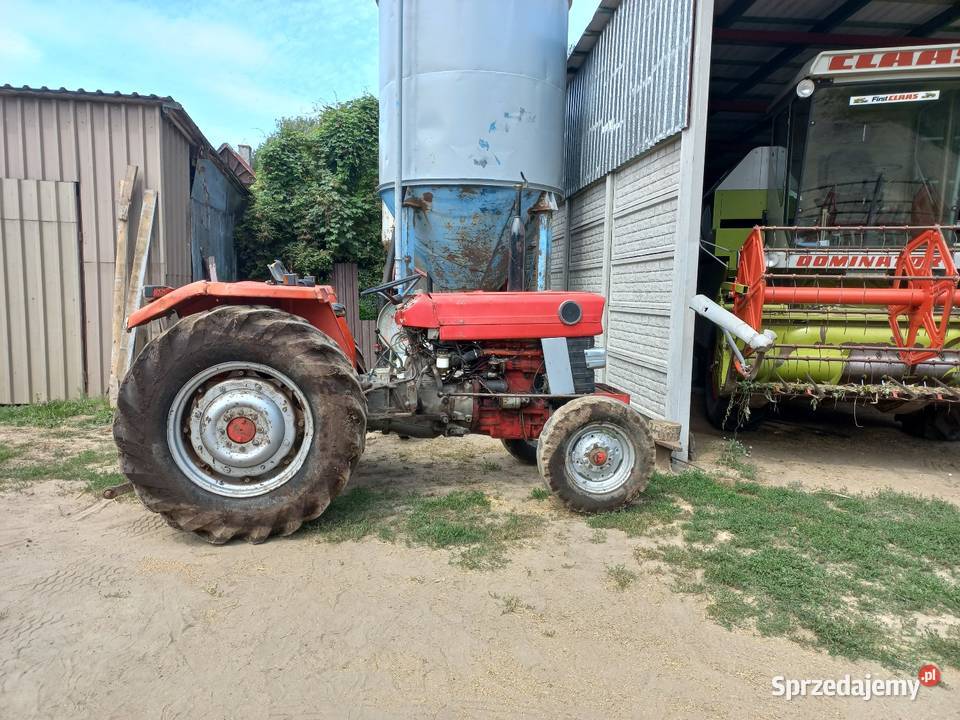 Ciągnik massey ferguson 158 ursus zetor Sochaczew