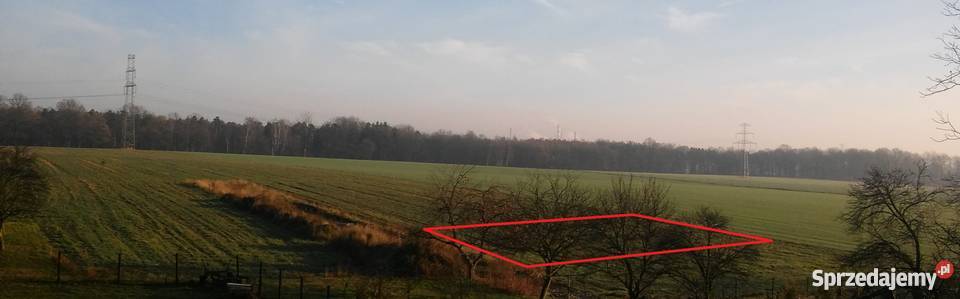 Działka 1000m Orzesze piękna i spokojna okolica Orzesze sprzedam