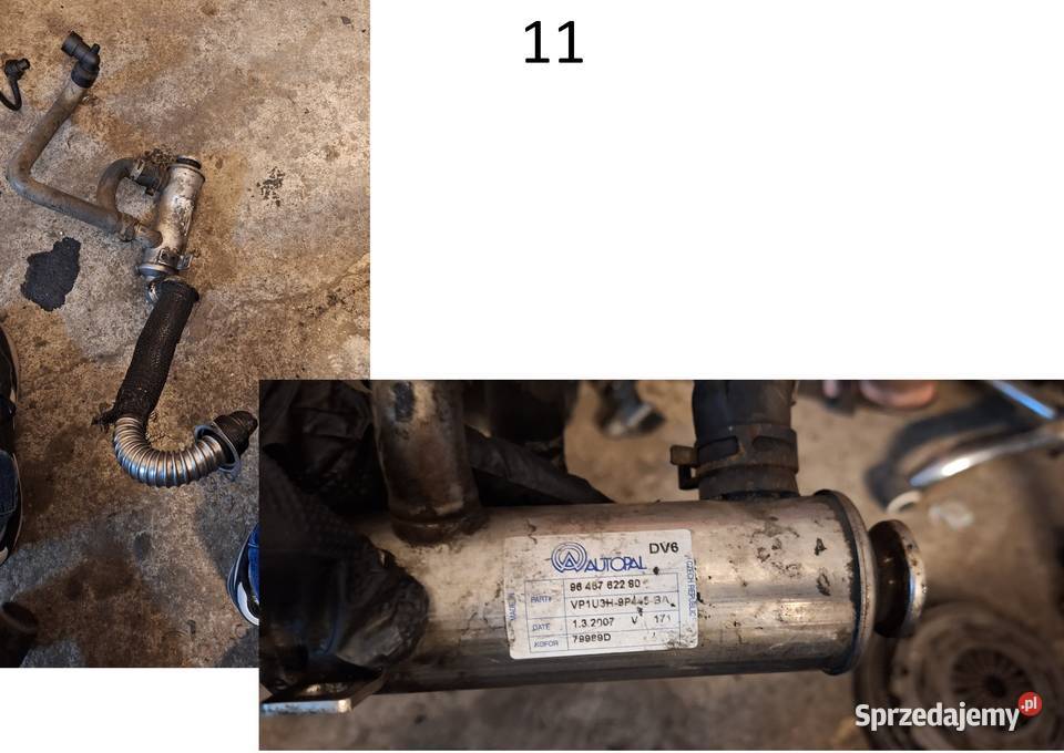 Części Peugeot Citroen 16HDI 109 Kostrzyn