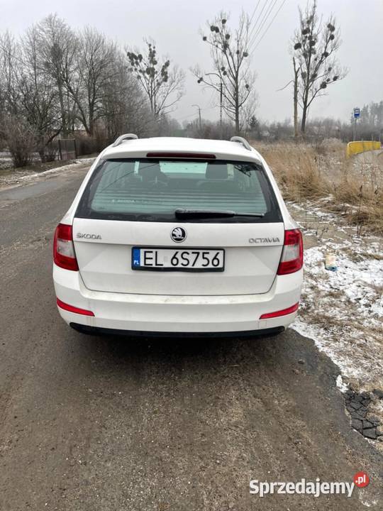 Skoda Octavia kombi 16 TDI 110 Piotrków 1600cm3 Octavia Piotrków Trybunalski