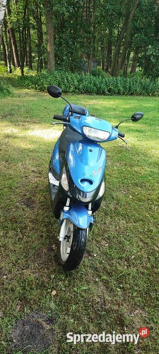 Skuter Boatian 503 2009r Rok produkcji 2009 Rudziczka