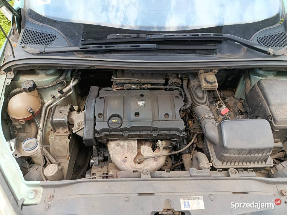 Peugeot 307 16 80 kW 2004 r dawca części Szklarka Myślniewska