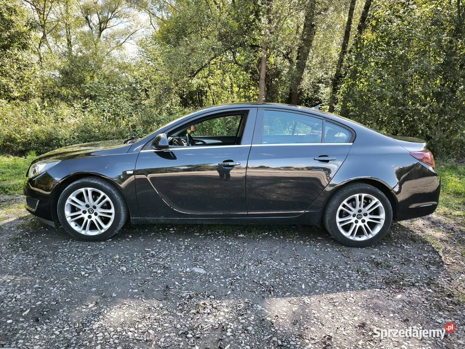Opel Insignia serwis ASO do 2024 Rok produkcji 2014 Jasło