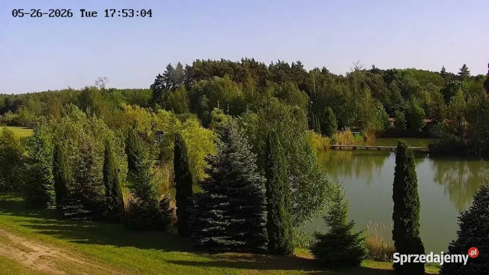SIEDLISKO DOM 120 m2 2 STAWY 15 ha Ziemi rolnej Sprzedaż Krzewno sprzedam