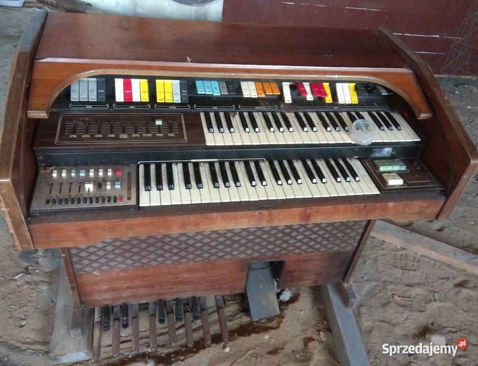 Organy Paola Rzeszów