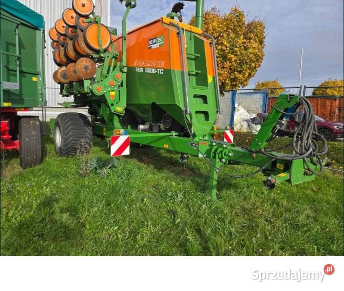 Siewni do kukurydzy Amazone ed x 6000 TC 8 lubuskie Szprotawa sprzedam