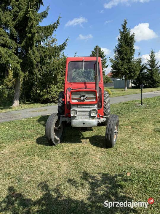 Massey Ferguson 135 Chodecz