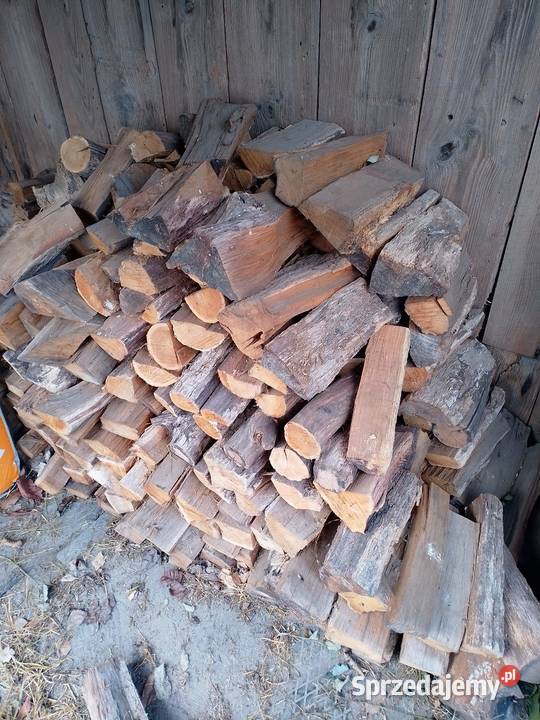 Dąb suchy do wędzenia Chełm