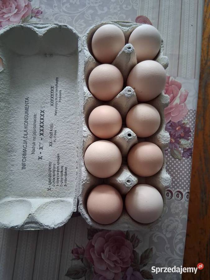 Sprzedam jajka wiejskie kur z wolnego wybiegu Wilkołaz Trzeci
