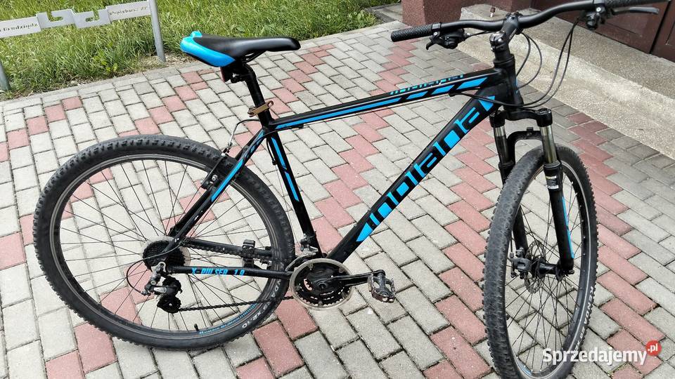 Sprzedam rower męski 29 koła Grudziądz