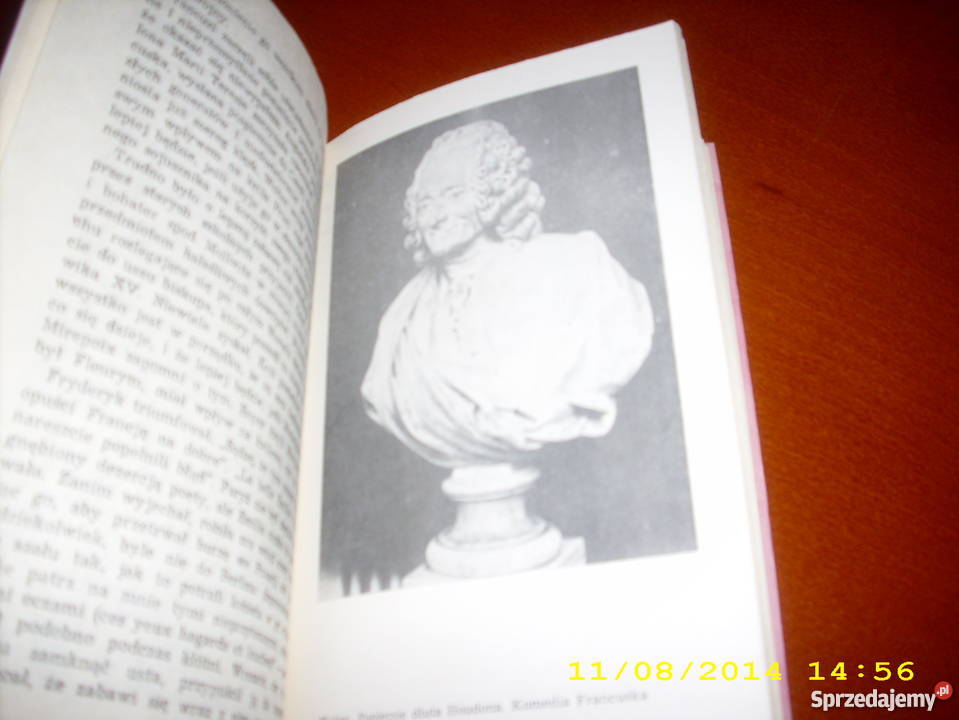 Wolter zakochany Nancy Mitford Goleniów
