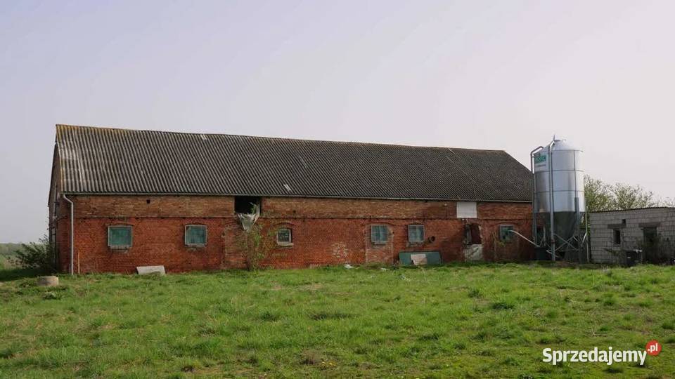 Działka siedliskowa o powierzchni 070 ha sprzedam