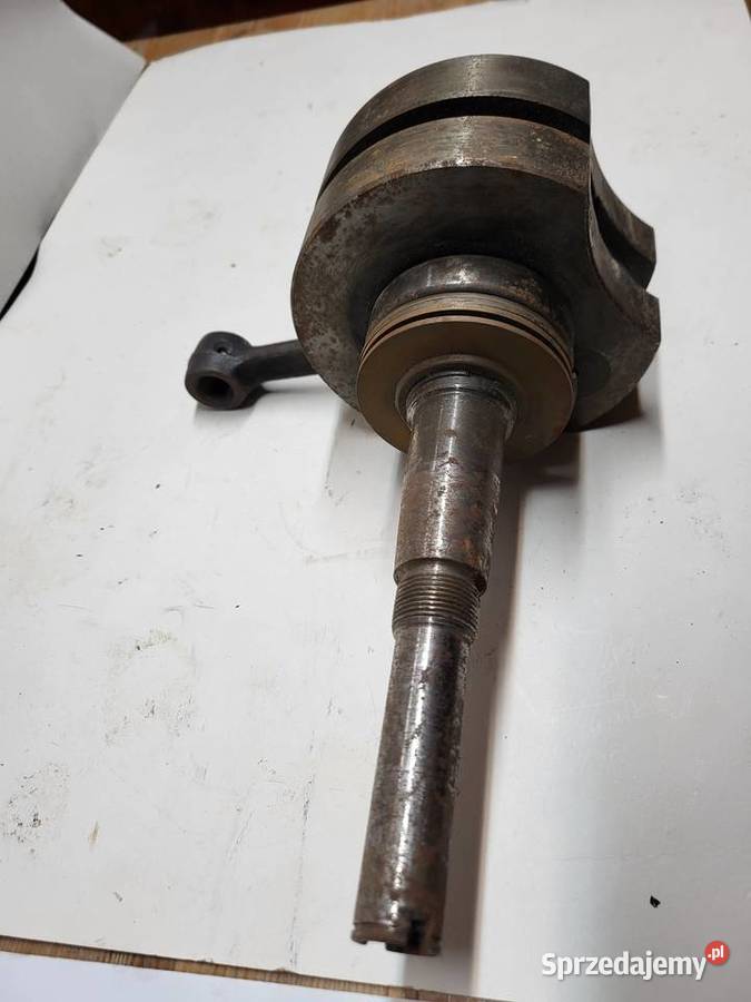 Dzik 2 21 fabr nowy wał korbowy S261C WSM typ Blok silnika Chodzież