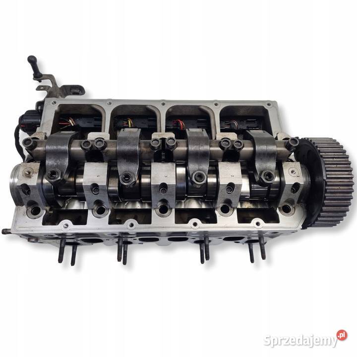 GŁOWICA CYLINDRÓW Skoda Audi VW Seat 19 TDI Rudka