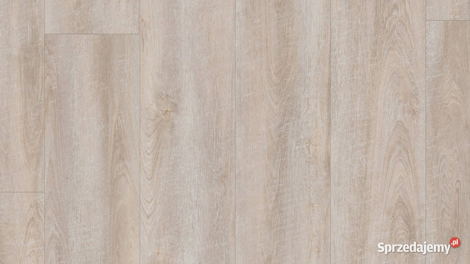TARKETT Podłoga winylowa Antik Oak White Zielona Góra