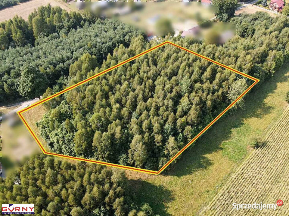 Działka 7400m2 Mniszków